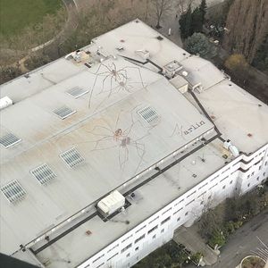 Meet your Posher, Adrianne